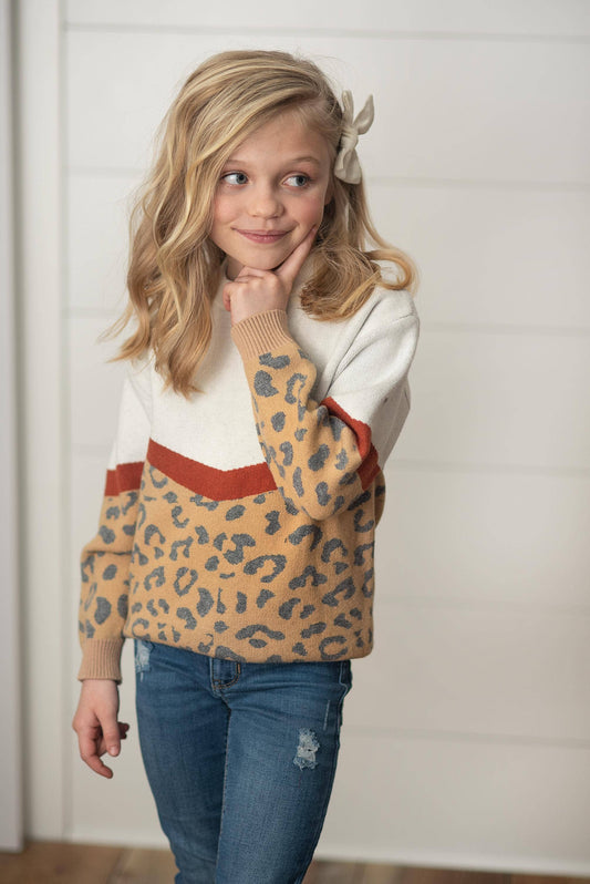 Leopard & Rust Sweater