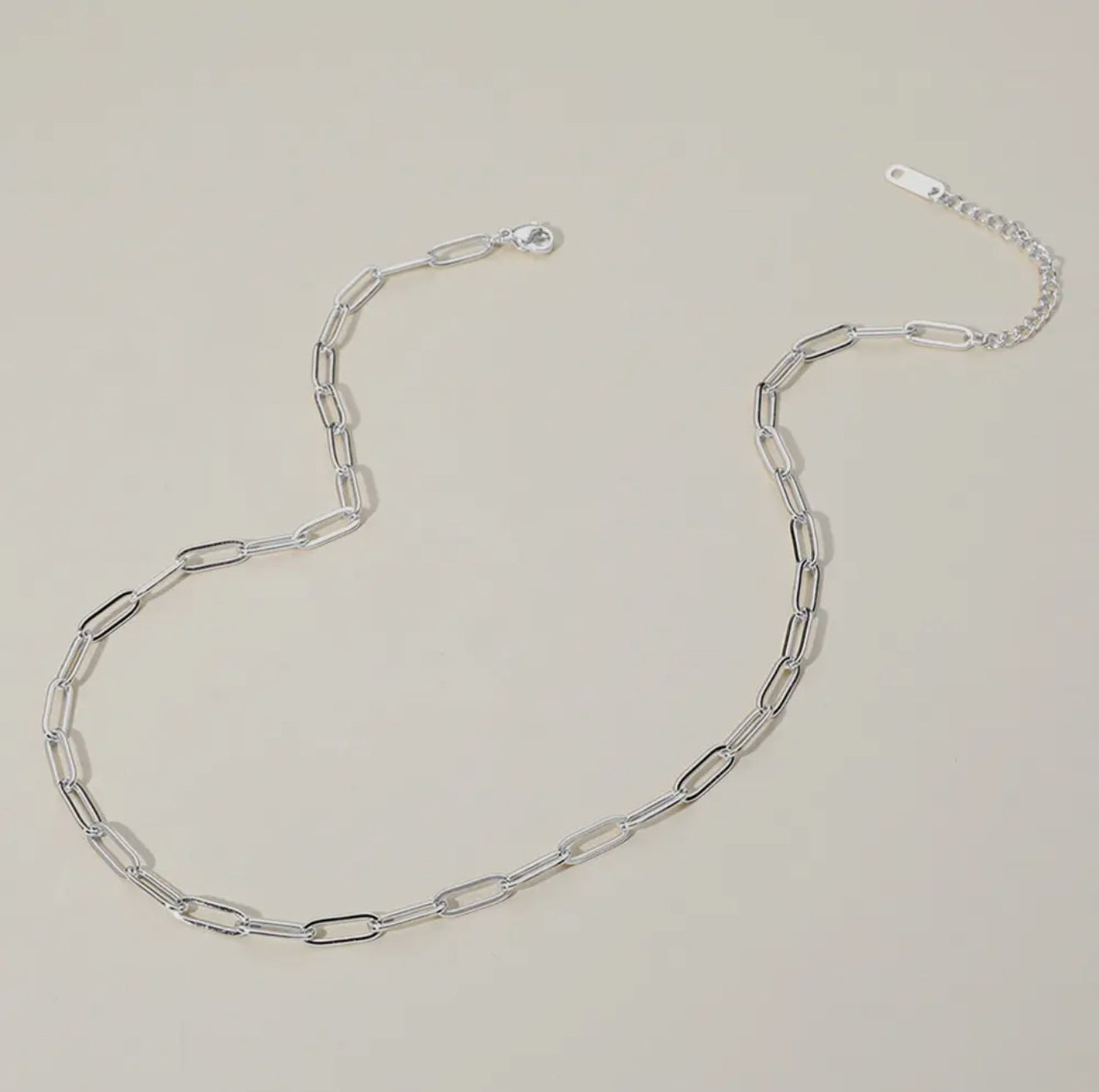 Matte/Shinny Paperclip Necklace