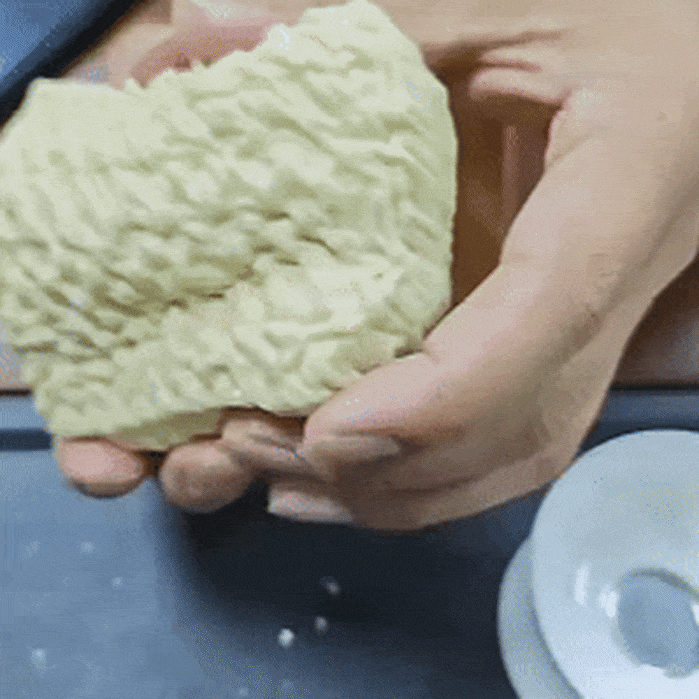Crunchy Noodle Squishy